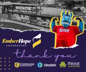 Thank you to Conrade Insurance, Ribbit Computers, and IdeaTek for their support!